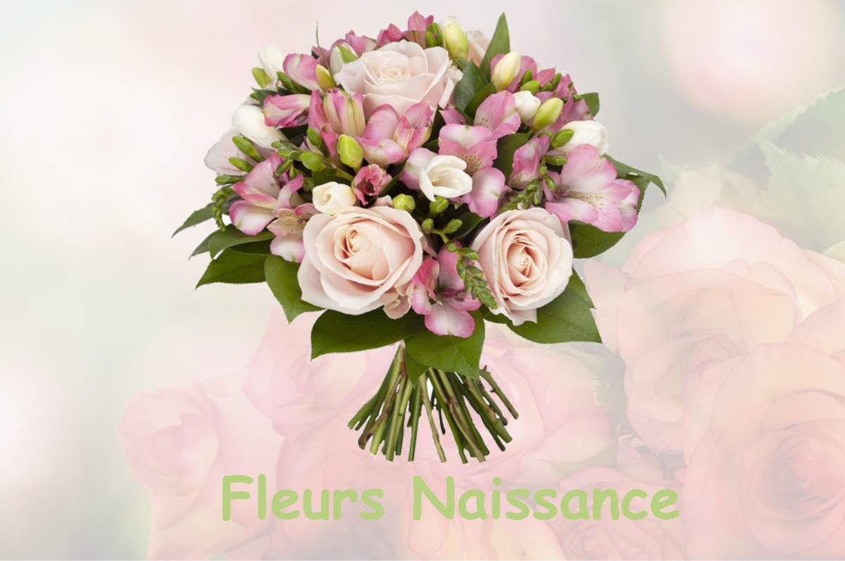 fleurs naissance BRIARE