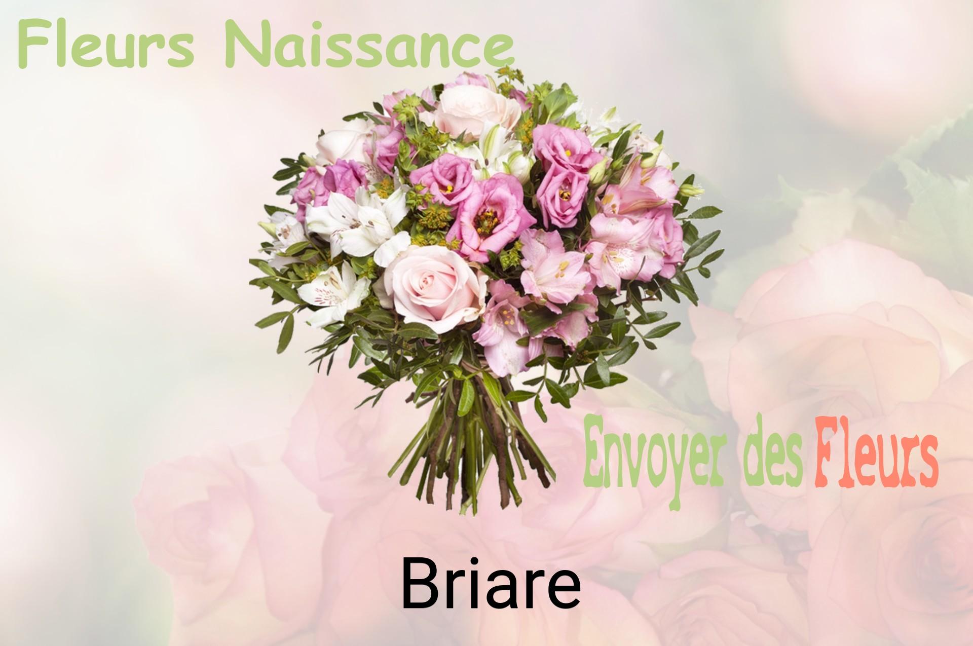 Bouquet de fleurs de naissance livré à Briare