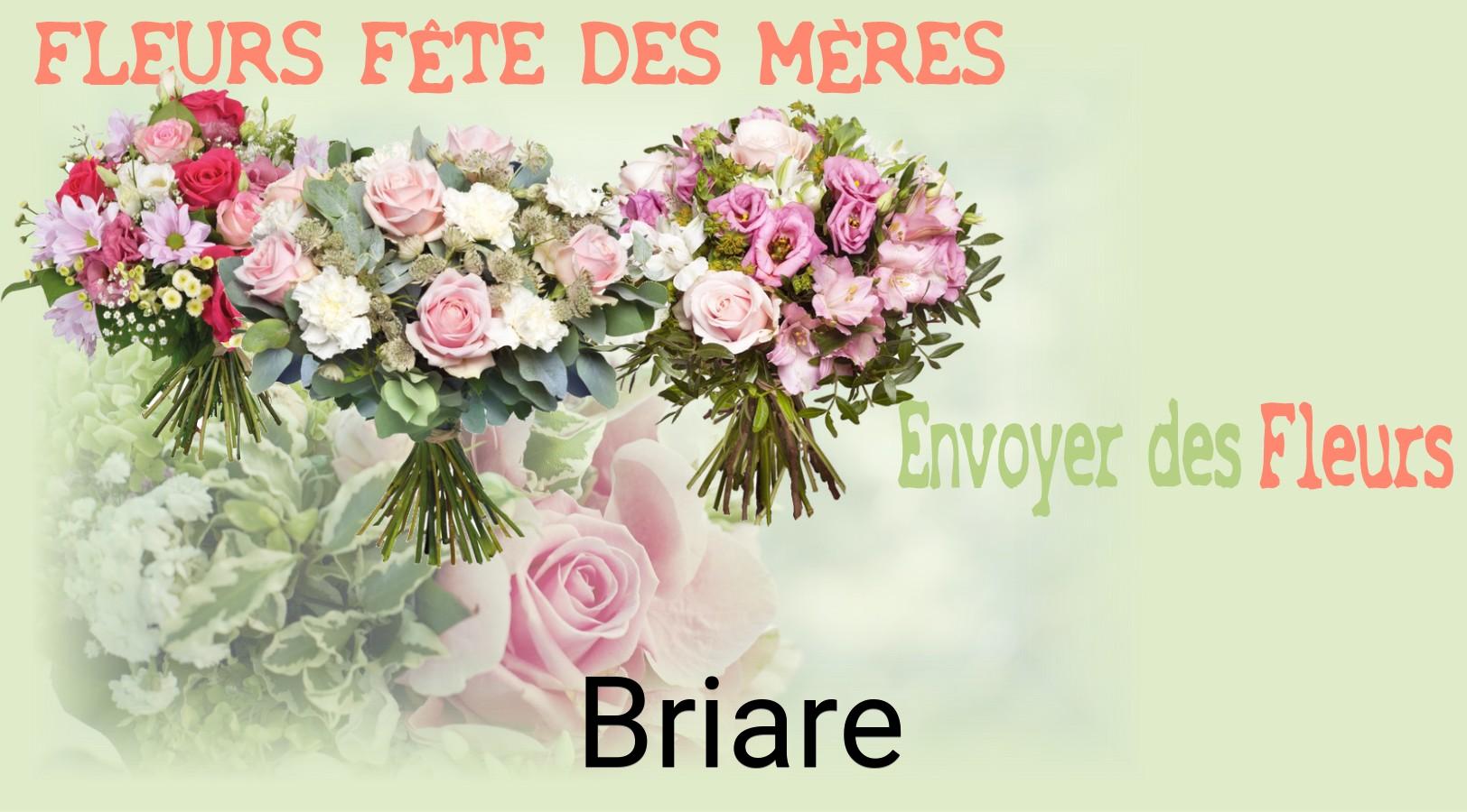Bouquet de Fête des Mères livré à Briare