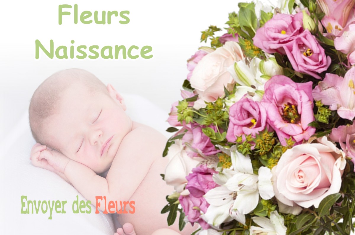 lIVRAISON FLEURS NAISSANCE à BRIARE