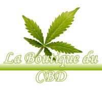 LA BOUTIQUE DU CBD BRIARE 